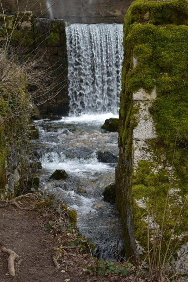 Hotel Le Meleze Moirans-en-Montagne Dış mekan fotoğraf